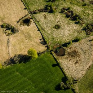 Priddy Circles, a linear arrangement of four circular earthwork enclosures near Priddy village, Mendip Hills, Somerset, England