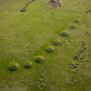 Ashen Hill Barrow Cemetery, consists of six bowl barrows and two bell barrows aligned east to west. Mendip, somerset, England, UK