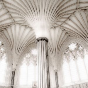 Chapter House, Wells Cathedral, Wells